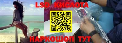 шишки Камышлов