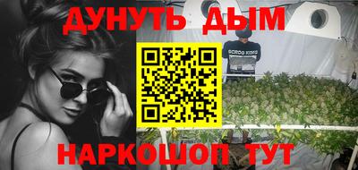 шишки Камышлов