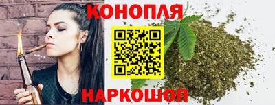 шишки Камышлов