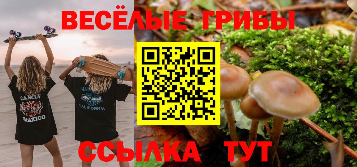 Псилоцибиновые грибы Magic Shrooms Аксай